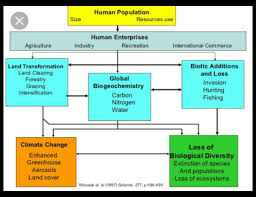 How Overpopulation Affect The Environment Prepare A Neat