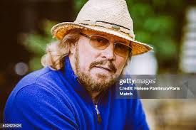 226 Bee Beard Stock Photos, High-Res Pictures, and Images