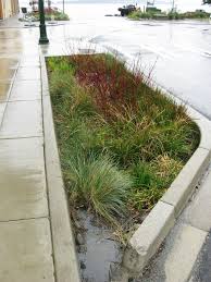 Can You Have A Rain Garden Without Rain Integrity Land Works Rain Garden Design Campus Landscape Design Rain Garden