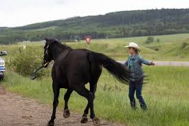 Lyndy Borden | Heartland Wiki | Fandom