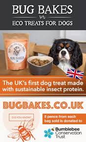 E C O T R E A T S F O R D O G S Dog Recipes Food Animals Cricket Flour