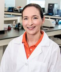 New NSF grant to study mentorship of engineering faculty in engineering  education research