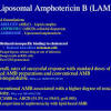 Liposomal amphotericin b product doses are generally higher than conventional amphotericin b doses; Https Encrypted Tbn0 Gstatic Com Images Q Tbn And9gcqgf6roblxqlbs2a5gypgoxo7n5ntw55azgcqu T1j03y6rw5y Usqp Cau