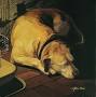 Profile Picture of The art of John Weiss - ArtUSA (@artusa.com) on Google