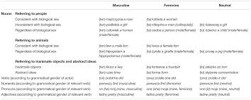 Masculine & feminine grammatical gender in hindi. Frontiers Grammatical Gender Influences Semantic Categorization And Implicit Cognition In Polish Psychology