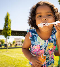 Brookberry Farm 2023 Brochure Nevin by marketing-bhhscarolinas