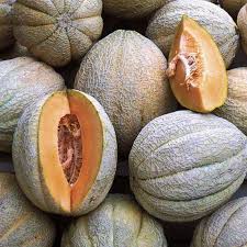 Image result for Cucumis meeusei