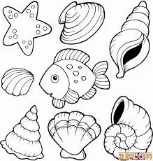 Our free printable coloring pages include beautiful pictures for toddlers to paint. Seashell Printable Coloring Pages Coloring Home