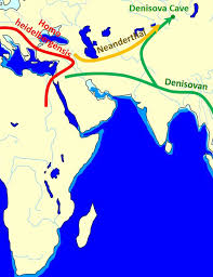 The color scale is not linear to allow saturation of the high denisova proportions in oceania. Humanoid Hybrids With Natalia Reagan Startalk All Stars Startalk Radio Show By Neil Degrasse Tyson