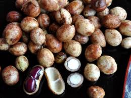 Image result for Vigna subterranea