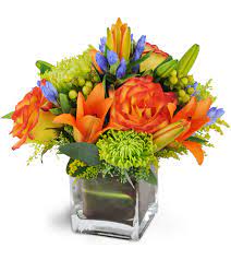 From wikimedia commons, the free media repository. Flower Delivery In Lafayette
