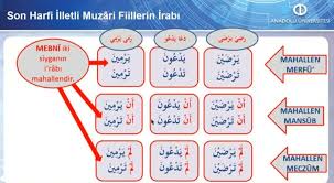 son harfi illetli muzari fiillerin irabi soyle yapilir sinif serum araba