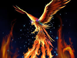 Pin On Phoenix And Fire Art