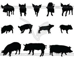 Affordable and search from millions of royalty free images, photos and vectors. Black Silhouettes Pigs Vector Clipart