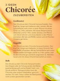 Was Ist Chicoree Wie Du Die Brusseler Endivie Richtig Kaufst Lagerst Und Zubereitest Chicoree Gemuse Kochen Chicoree Rezepte