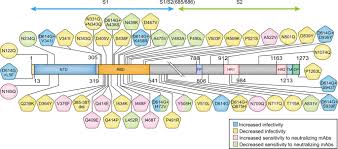 (b) sequences of viruses from two patients (m2 and m13) with deletions in a. Profiling And Characterization Of Sars Cov 2 Mutants Infectivity And Antigenicity Signal Transduction And Targeted Therapy