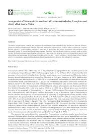 Image result for Schoenoplectus muriculatus