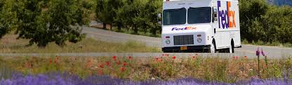 U S Package Delivery Services Up To 150 Lbs Fedex