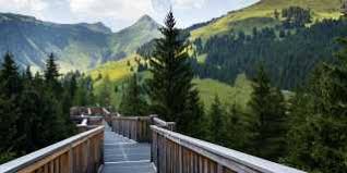 Find unique places to stay with local hosts in 191 countries. Pinzgau Wandern Ohne Gepack Salzburger Gipfel Kitzbuhler Alpen Wandern De
