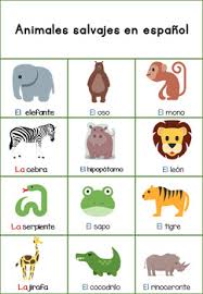 Bundle Farm Sea And Wild Animals In Spanish By Dasbeth Online Languages In 2020 Animals Wild Flashcards For Kids Animals For Kids