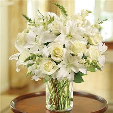 Check spelling or type a new query. 1 800 Flowers Classic All White Arrangement Homewood Il