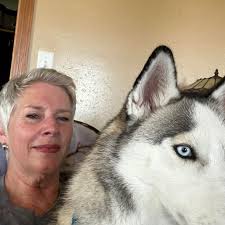 Where to find Buff Orpington chickens for laying in June?