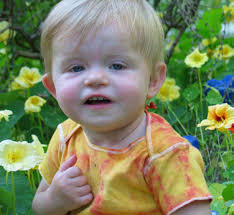 paper142 for PDF conversion.pub