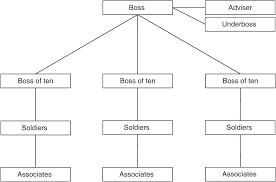 Organizational Orders Chapter 3 Mafia Organizations