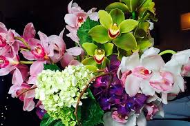 Кожа вулкана / la piel del volcán (2021). The 5 Best Florists In Washington