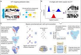 How much does christian mingle cost? Inferring Spatial And Signaling Relationships Between Cells From Single Cell Transcriptomic Data Nature Communications