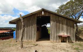 24 Acre Self Sustainable Farm With 1750 Mesino Lime Trees For Sale Located 16 Km North Of The Pan American Highway Just Lime Tree Costa Rica Real Estate Acre