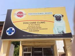 We plan on reopening the healthy pets clinic in a different location in the. Dr K K Saxena Dog Care Clinic Pet Shops For Dog Book Appointment Online Pet Shops For Dog In Faridabad Sector 14 Faridabad Delhi Justdial