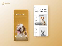 Pets Adoption App Pet Adoption Pets Animal Design
