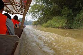 You don't have to pay for an expensive package tour to explore taman negara, malaysia's top national park. 2d1n Taman Negara Full Board Package Ex Jerantut Taman Negara