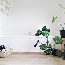 | lustige bilder, sprüche, witze, echt lustig. Sowohntjuliamammilade Instagram Posts Photos And Videos Picuki Com