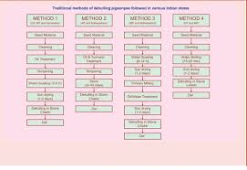 65 Exact Rice Mill Process Flow Chart