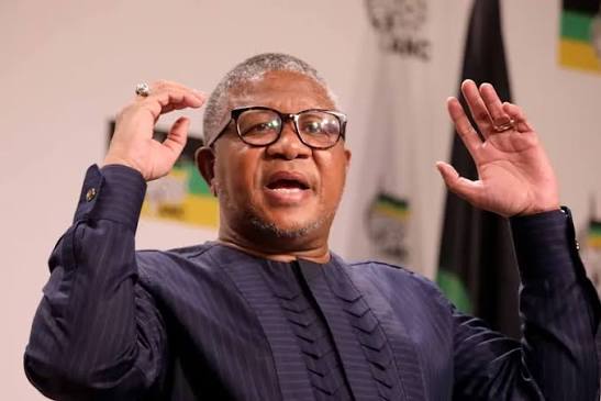 Mbalula unleashes scathing attack on Helen Zille