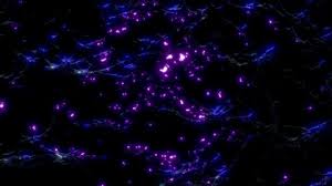 This best moving background video created in full hd 1920x1080p and also rendered uncompressed format for high quality. Cool Moving Wallpapers Stock Video Footage 4k And Hd Video Clips Shutterstock