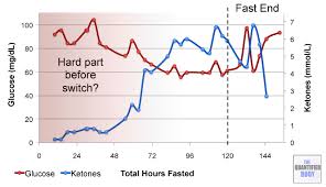 5 day water fast results blood ketones glucose weight