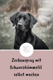 Zeckenspray Mit Schwarzkummelol Selbst Herstellen Herzenshund Kerngesund Zeckenmittel Zeckenschutz Hund Zecke