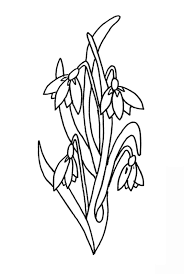 Ghiocel, viorea, trandafir, narcisa, lalele, panselute, floare de maces, orhidee, liliac, flori de nufar, crin (flori de primavara, flori de vara. Grateful Catastrophe Death Jaw Desene De Colorat Cu O Vaze Si Cu Lilieci Moldcontrolnj Com