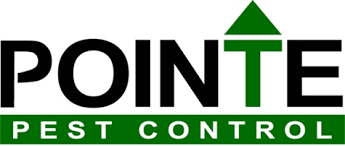 Currently have a pest control provider that you are unhappy with? Pointe Pest Control Review 2021 Edition Pest Strategies