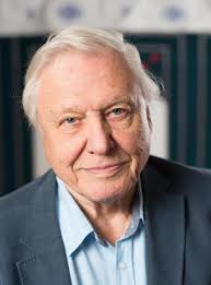 Norwich boy receives letter from Sir David Attenborough