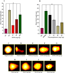Maybe you would like to learn more about one of these? Ionps Induced Dna Damage In Blood Cells Of Animals Treated For One Week Download Scientific Diagram
