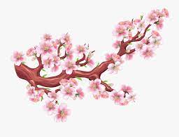 39 gambar sketsa bunga indah sakura mawar melati untuk cara pembuatan gambar sketsa berikutnya ialah bunga sakura bunga sakura memang indang jadi tak heran jika. Sakura Png Bunga Sakura Vector Png Free Transparent Clipart Clipartkey