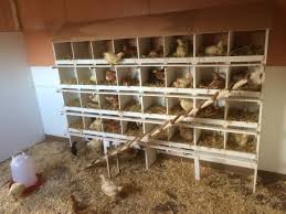 High End Chicken Coop With Heating System Controlled By Home Thermostat Powered By Solar Light Took Me A Day To Home Thermostat Chicken Coop Heating Systems