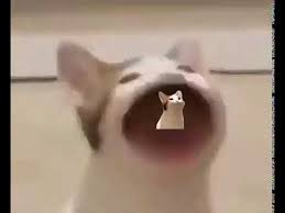 A place to post memes of and related to popcat, the greatest meme of our generation. Popcat Inside Popcat Youtube