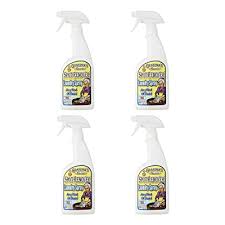 Buy 2 Pack Of Grandmas Secret Spot Remover Laundry Spray 16 Fl Oz Each 2 Packs Online In Bahrain B07bzl23fl