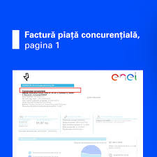 Contact enel energie muntenia sa. Tiranie Sub Vant Semn De Exclamare Enel Plata Facturii Butlercarriers Com