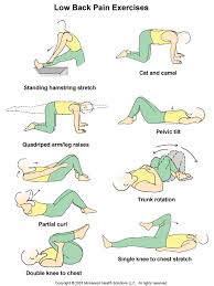 Pin On Low Back Pain Exercises Patient Handout